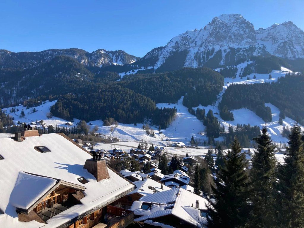 Apartment facing La Videmanette – Rougemont